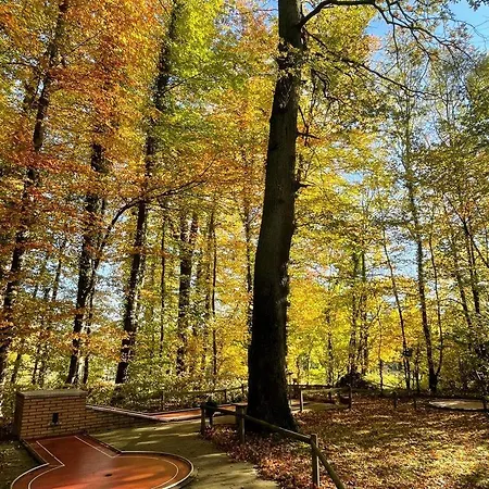 Hotel Rg Living Self Check-in 24-7 Near Messe Center Free Parking 3*