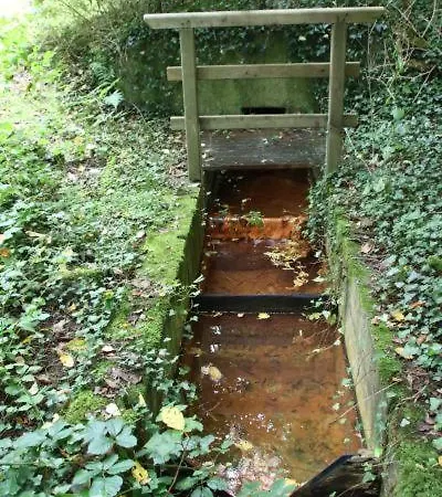 Rg Living Self Check-in 24-7 Near Messe Center Free Parking