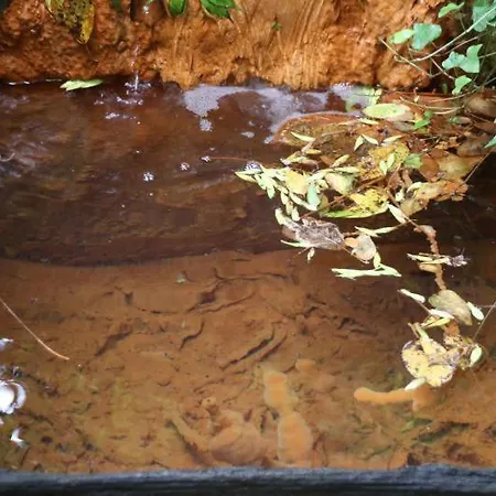 Rg Living Self Check-in 24-7 Near Messe Center Free Parking Hotel