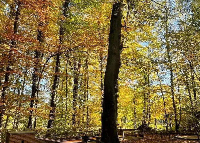 酒店 Hotel Schneider Hof - Self-Check-In By Rg Living 3*