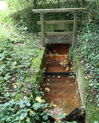 Hotel Schneider Hof - Self-Check-In By Rg Living