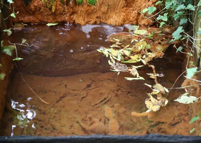 Schneider Hof - Self-check-in By Rg Living Hotell